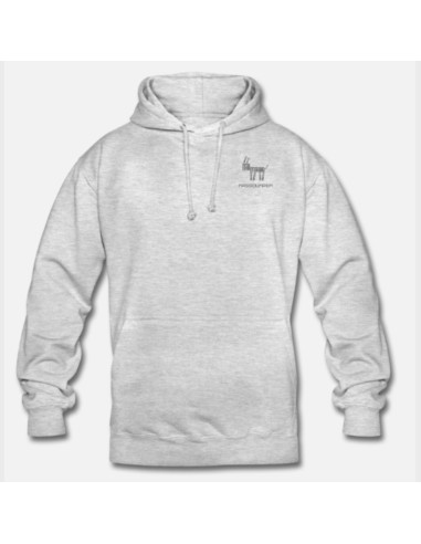 Sudadera Massdumper Modelo Difference gris