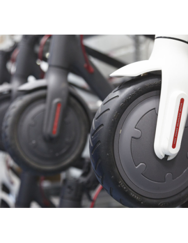 Revisión Completa  5 puntos  Patinete